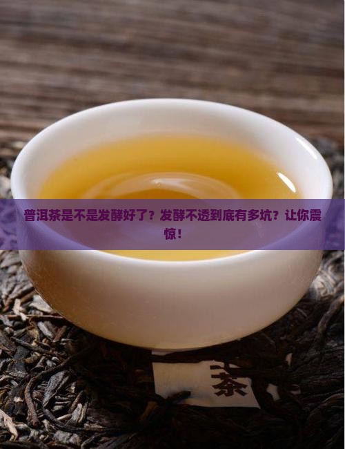 普洱茶是不是发酵好了