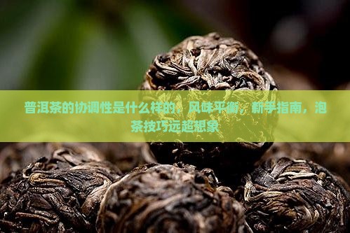 普洱茶的协调性是什么样的