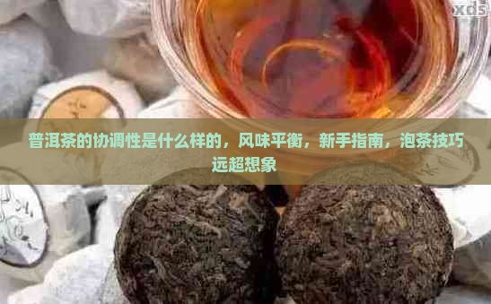普洱茶的协调性是什么样的