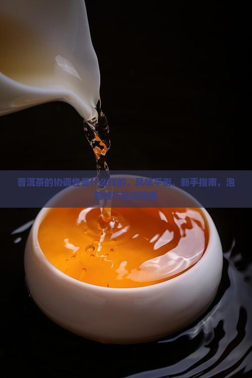 普洱茶的协调性是什么样的