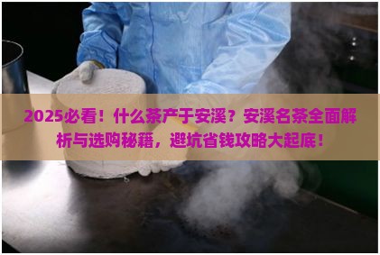 什么茶产于安溪