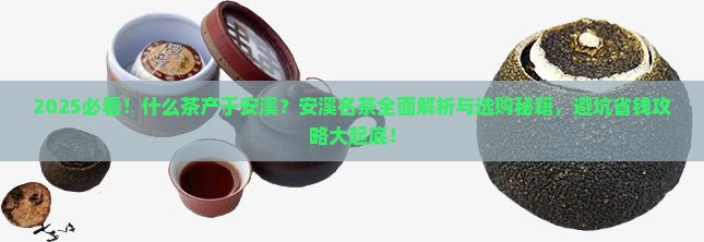 什么茶产于安溪