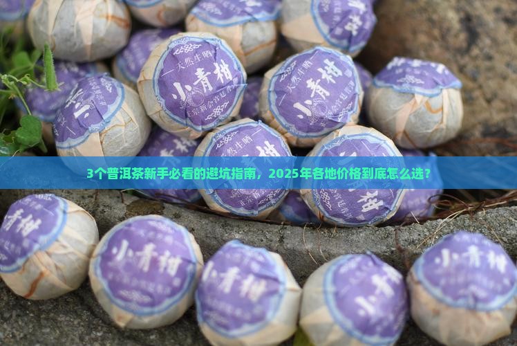 各地普洱茶价格