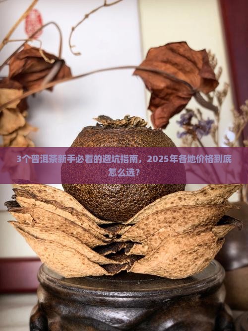 各地普洱茶价格