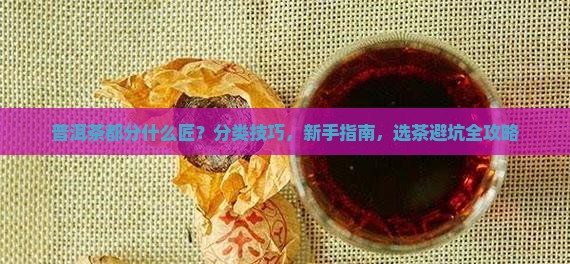 普洱茶都分什么匠