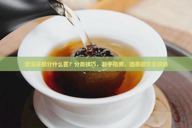 普洱茶都分什么匠