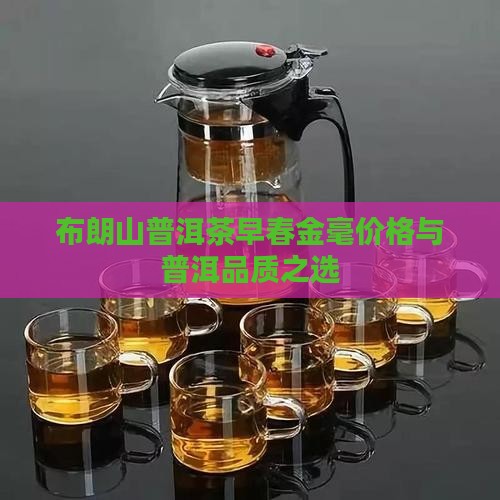瑞福茶庄布朗山普洱茶早春金毫