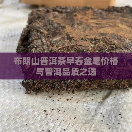 瑞福茶庄布朗山普洱茶早春金毫