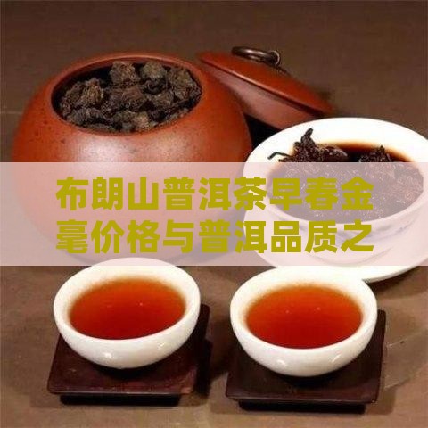 瑞福茶庄布朗山普洱茶早春金毫
