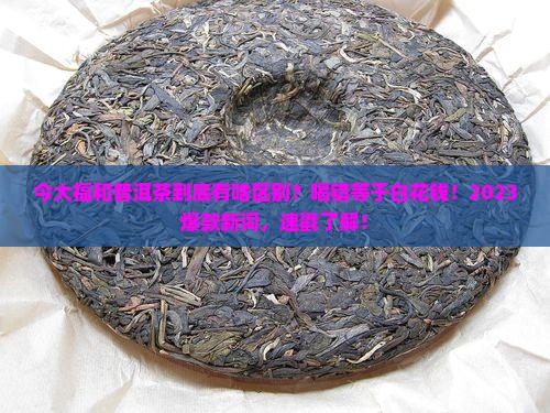 今大福和普洱茶区别
