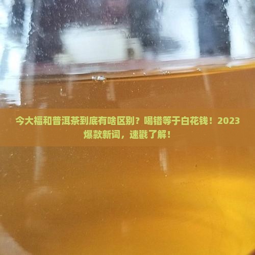 今大福和普洱茶区别