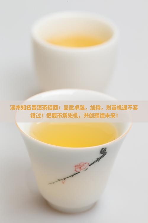 湖州知名普洱茶招商