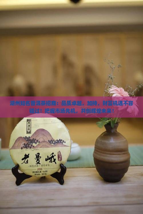 湖州知名普洱茶招商