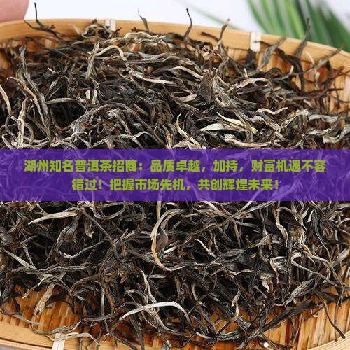湖州知名普洱茶招商