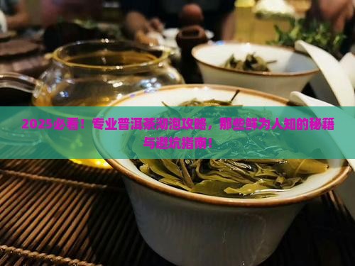 专业普洱茶沏泡