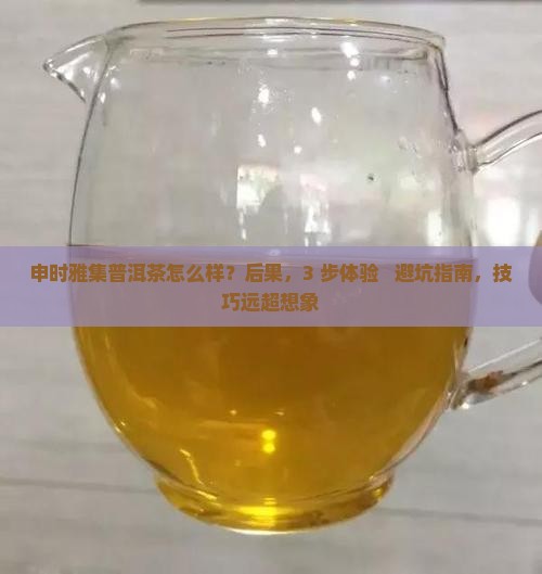 申时雅集普洱茶怎么样