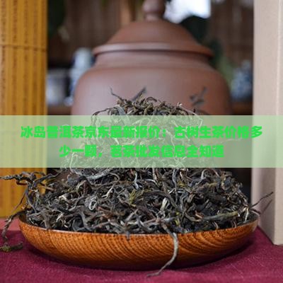 冰岛普洱茶多少一颗