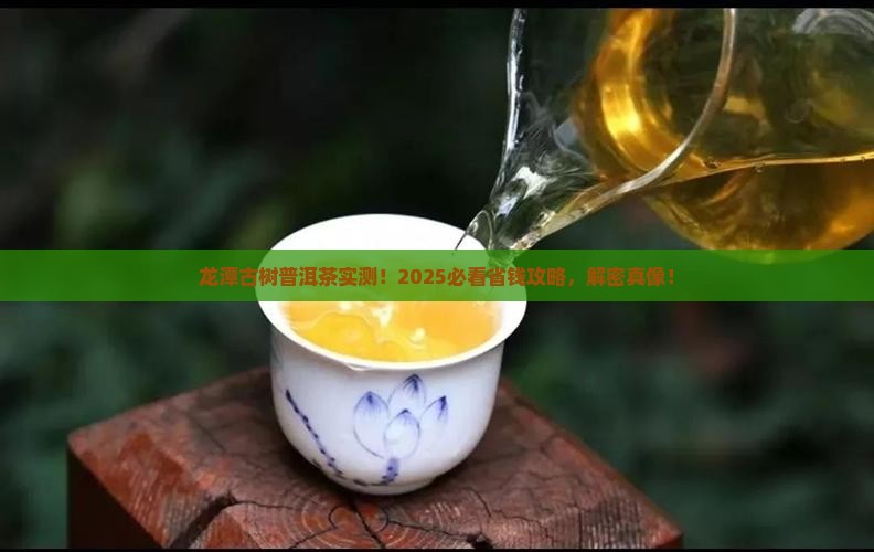 龙潭古树普洱茶