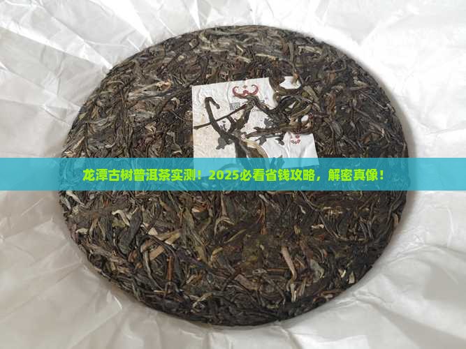 龙潭古树普洱茶