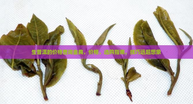 生普洱的价格查询金典