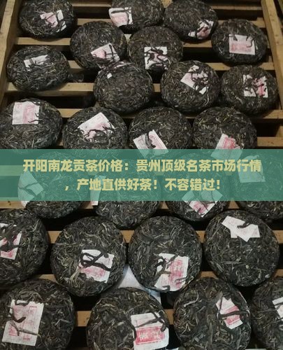 开阳南龙贡茶价格