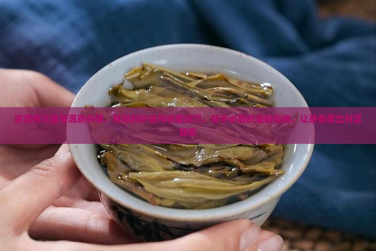 家里有元宝普洱茶杂摆