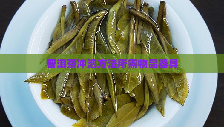 普洱茶沏泡所需物品器具