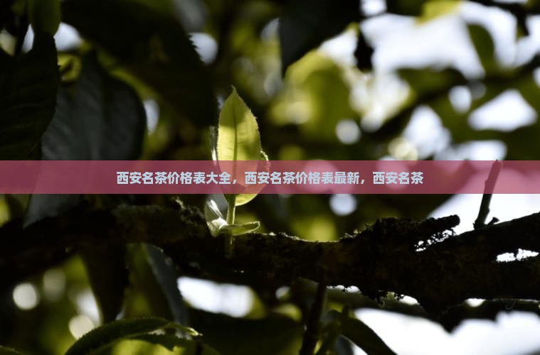 西安名茶价格表