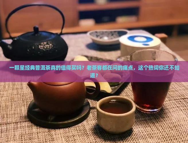 一颗星经典普洱茶