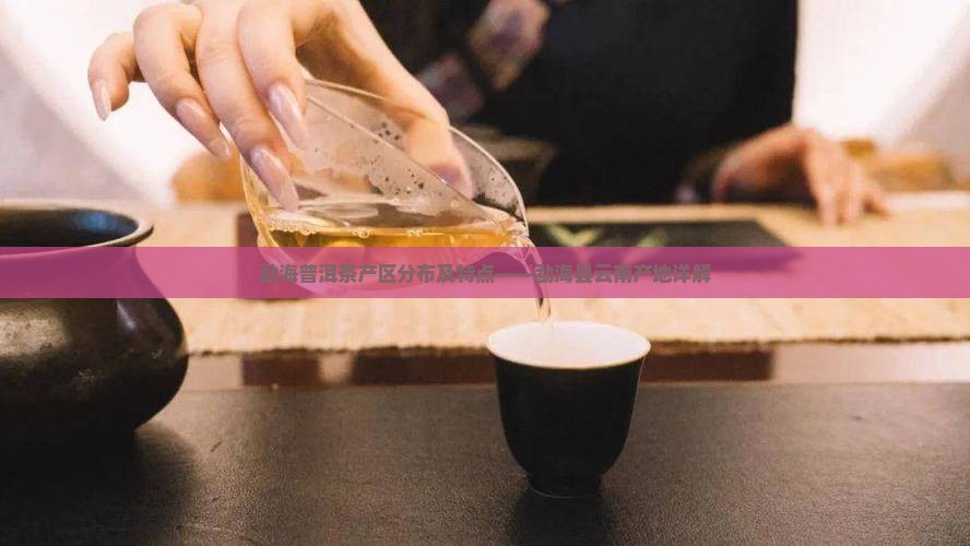 勐海普洱茶产区分布及特点