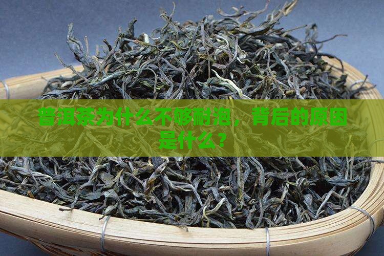 普洱茶不耐泡是什么原因