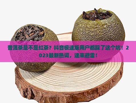 普洱茶是不是红茶抖音极速版