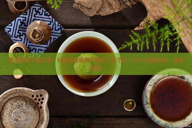 普洱茶是不是红茶抖音极速版