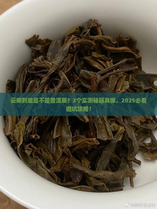 云南是普洱茶吗