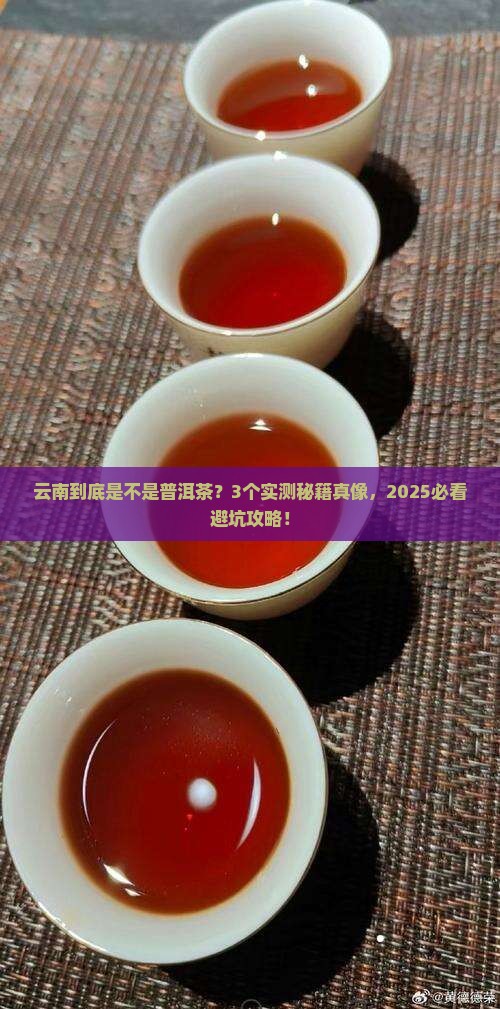 云南是普洱茶吗