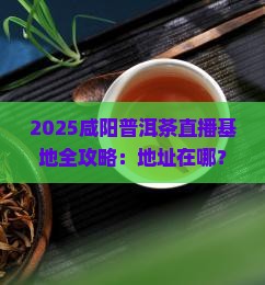 咸阳普洱茶直播基地在哪里