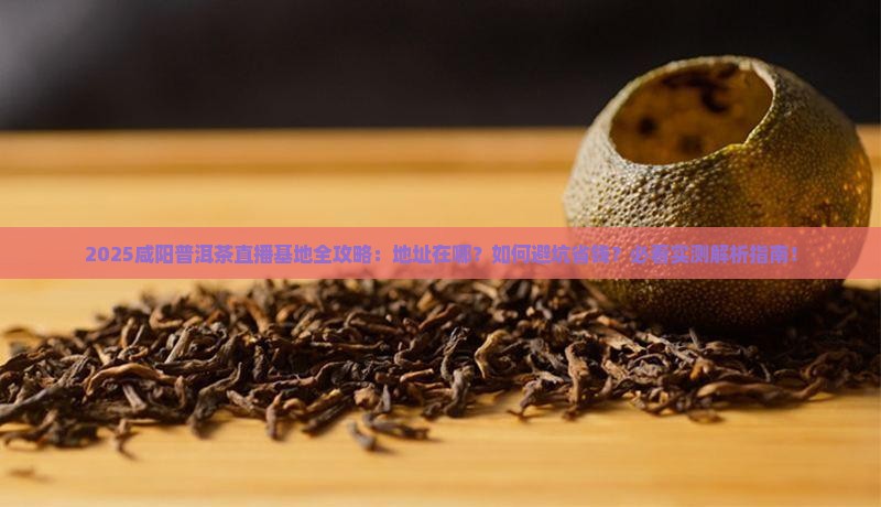 咸阳普洱茶直播基地在哪里