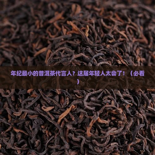 年纪最小的普洱茶代言人