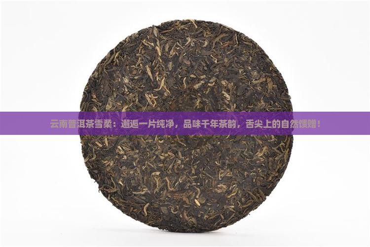 云南普洱茶雪柔