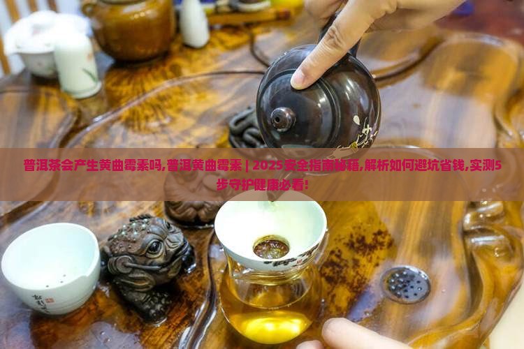 普洱茶会产生黄曲霉素吗