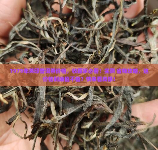 1979年黄印普洱茶价格