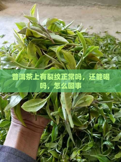 普洱茶上有裂纹