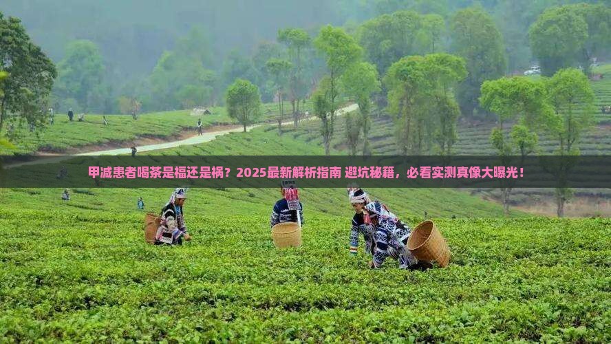 甲减患者可以喝茶吗