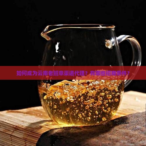 如何成为云南老班章渠道代理？有哪些招商条件？