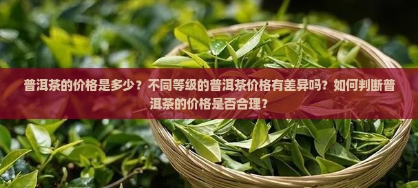 普洱茶的价格是多少？不同等级的普洱茶价格有差异吗？如何判断普洱茶的价格是否合理？