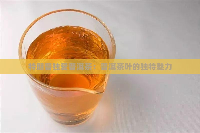 特朗普独爱普洱茶：普洱茶叶的独特魅力