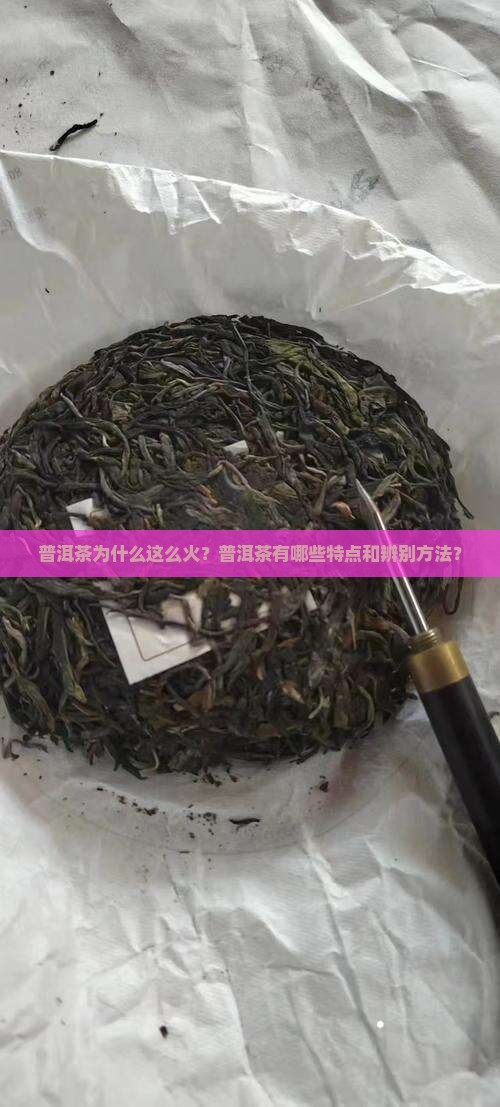 普洱茶为什么这么火？普洱茶有哪些特点和辨别方法？