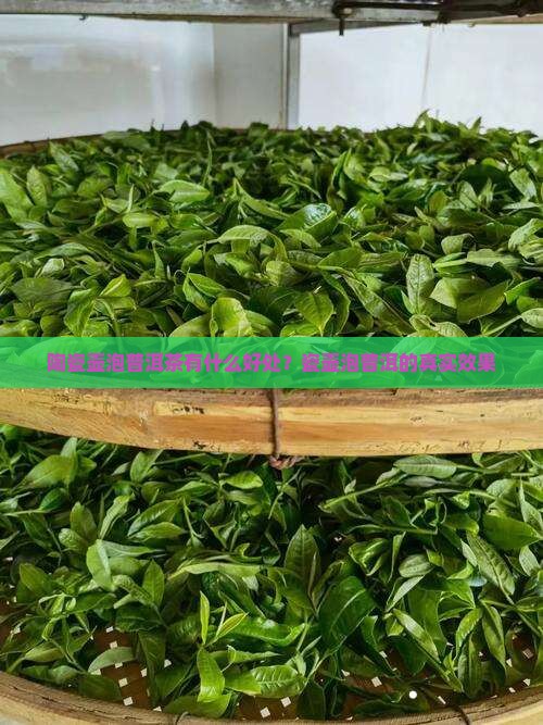 陶瓷壶泡普洱茶有什么好处？瓷壶泡普洱的真实效果