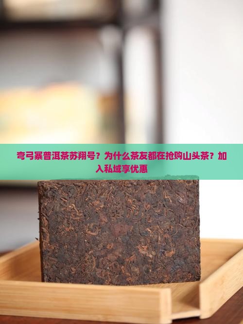 弯弓寨普洱茶苏翔号？为什么茶友都在抢购山头茶？加入私域享优惠