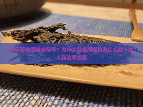 弯弓寨普洱茶苏翔号？为什么茶友都在抢购山头茶？加入私域享优惠